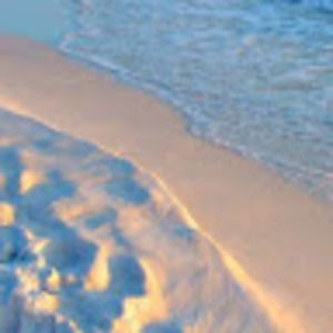 Meet your Posher, Bailey